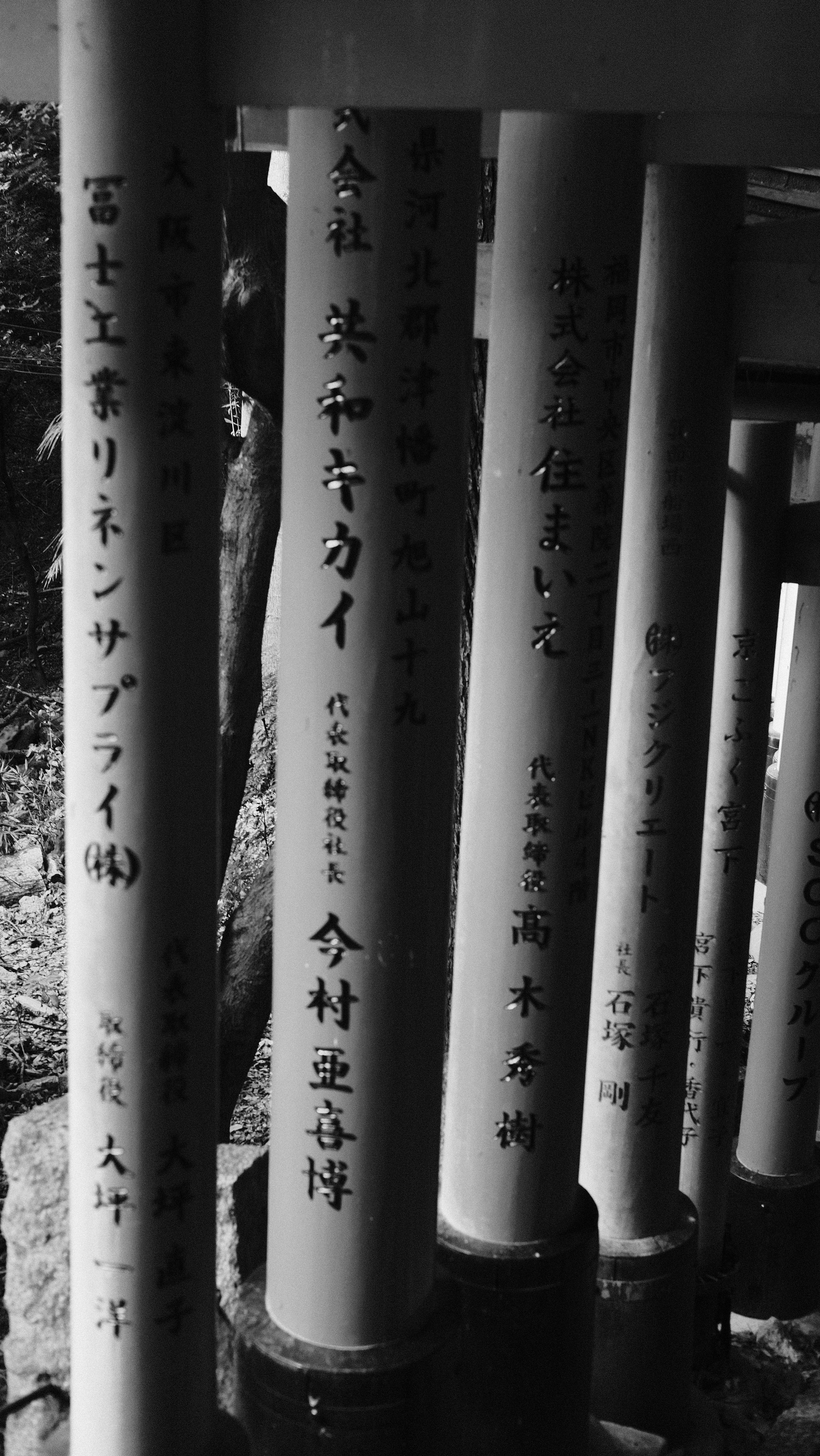 Kyoto